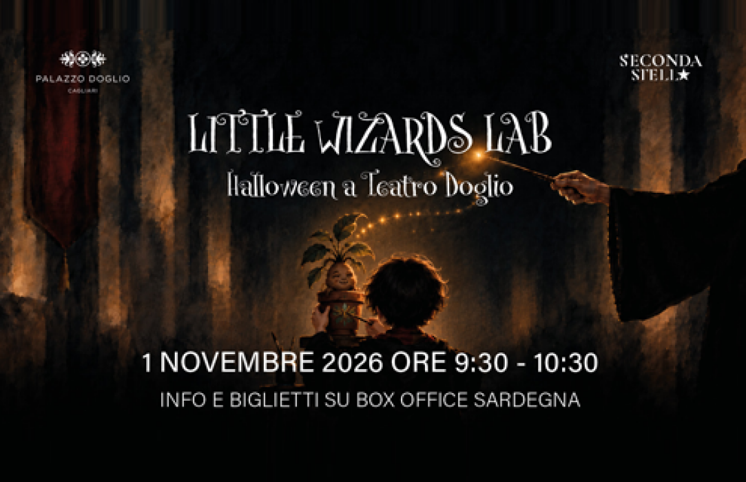 Little Wizards Lab 